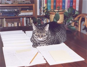 Completed manuscripts make a comfortable cat bed.